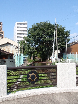 c0105785_11425393.jpg