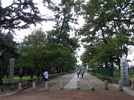 c0105785_12454591.jpg