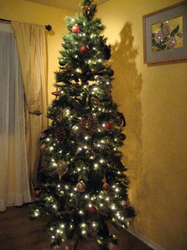 a0042290_18352959.jpg