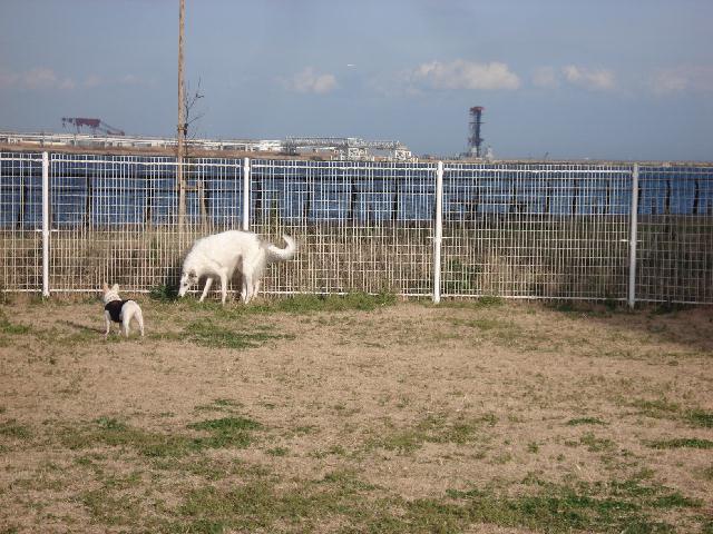 b0148106_795912.jpg