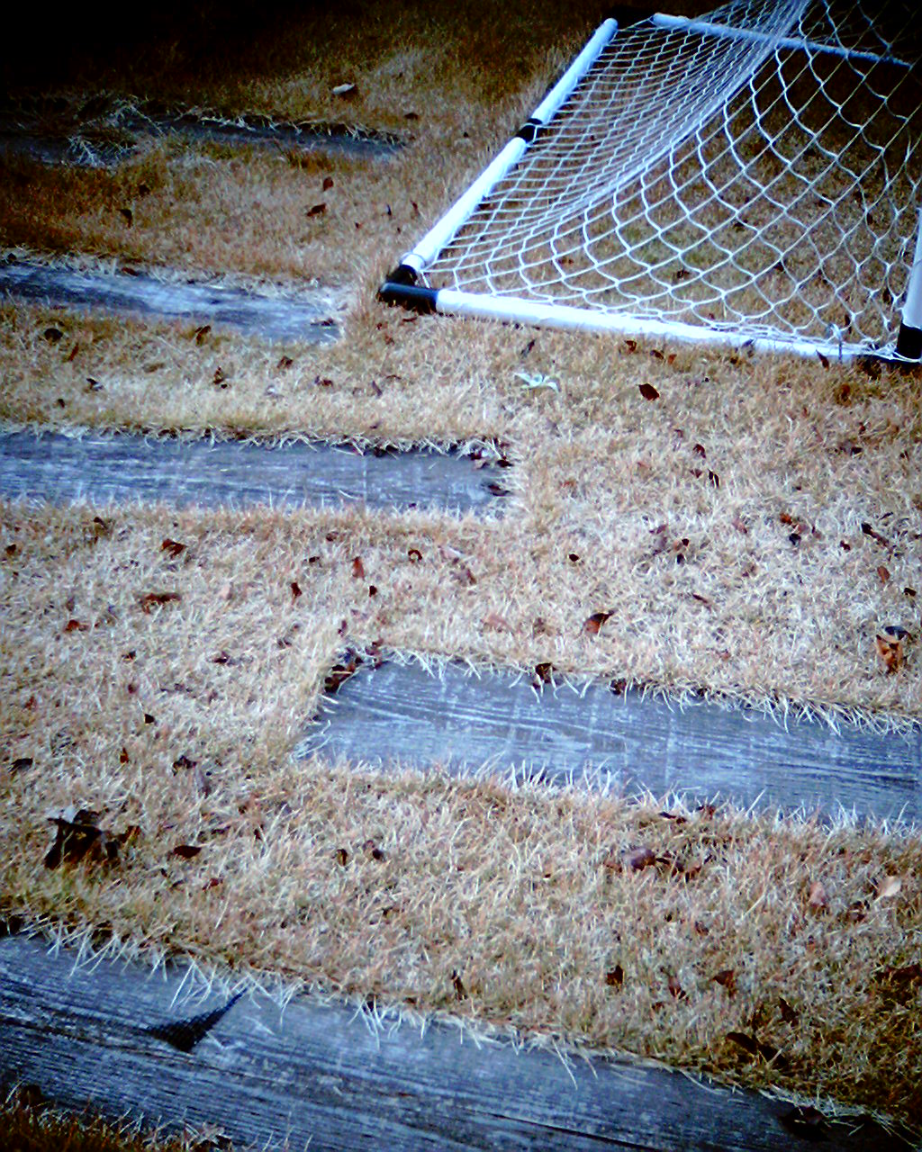 f0194109_17463049.jpg