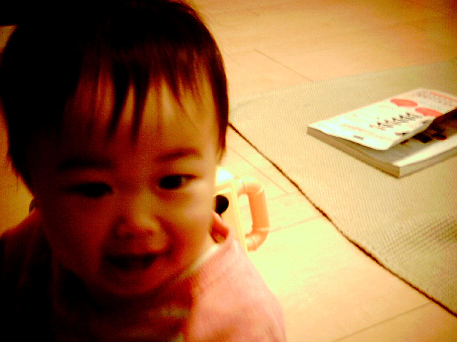 f0194109_17515623.jpg