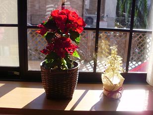 f0008510_1042219.jpg