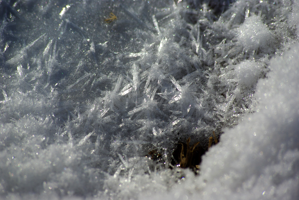 e0142611_20133086.jpg