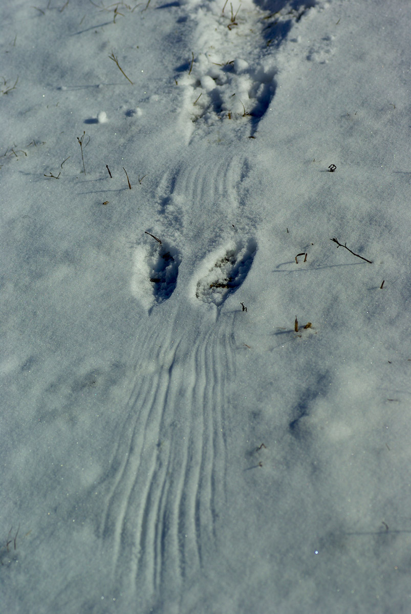 e0142611_2013364.jpg
