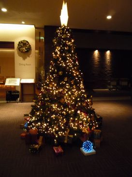 e0016412_1513512.jpg