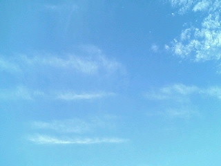 f0195715_1015564.jpg