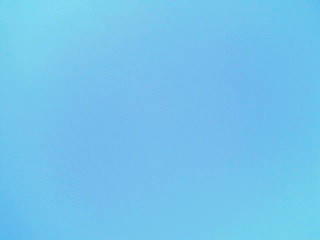 f0195715_1029447.jpg