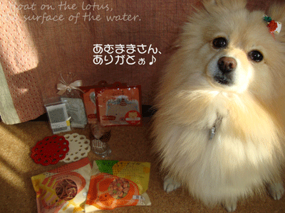b0075318_10483576.gif