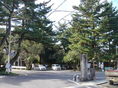 f0000521_727198.jpg