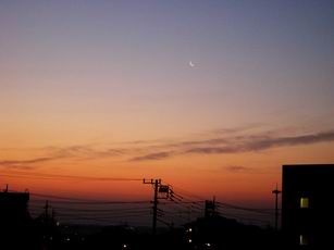 c0141726_17363515.jpg