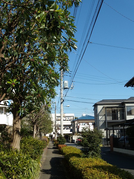 c0109827_2034184.jpg