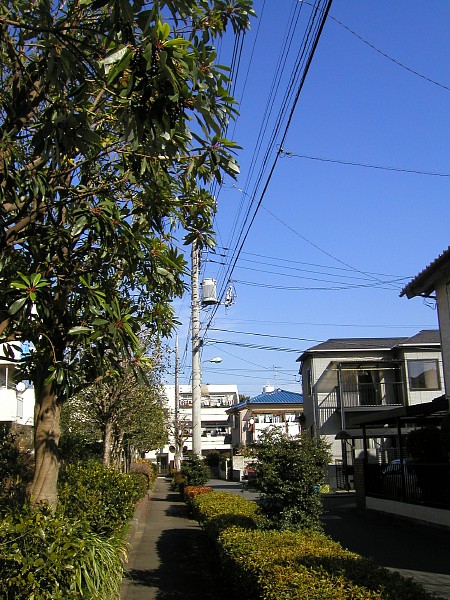 c0109827_20342957.jpg