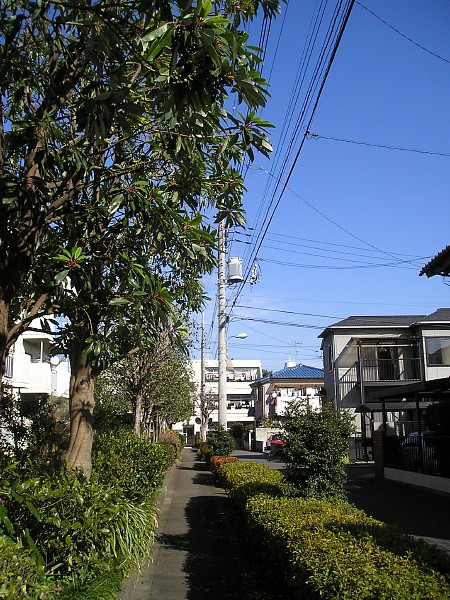 c0109827_20344072.jpg