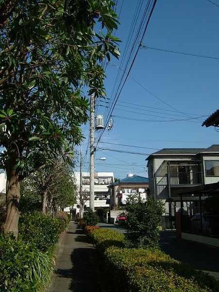 c0109827_203479.jpg
