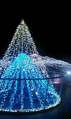 b0137530_9284537.jpg