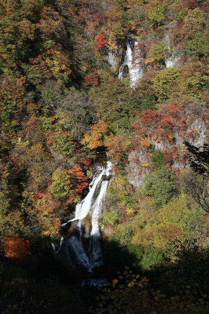 e0064133_0155380.jpg