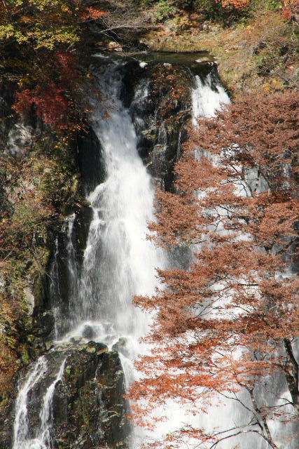e0064133_0155931.jpg