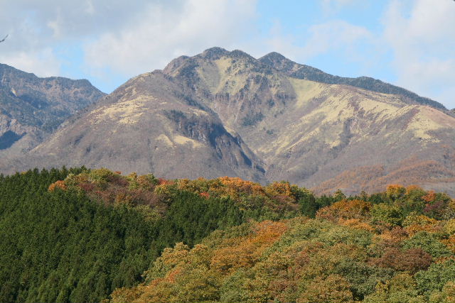 e0064133_017858.jpg
