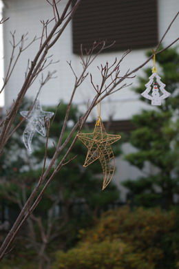 c0100735_226457.jpg