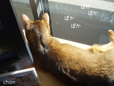 c0132438_21373731.jpg