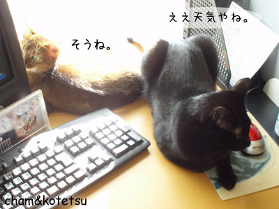 c0132438_2138093.jpg