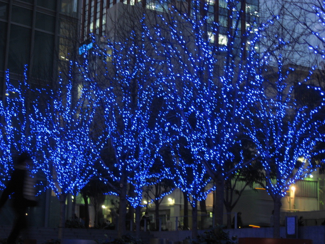 b0097747_1573493.jpg