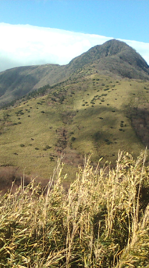 b0131247_16401514.jpg
