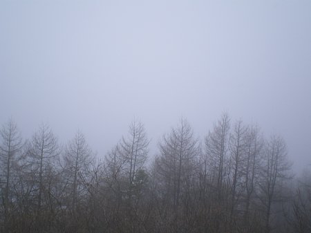 c0042847_2124784.jpg