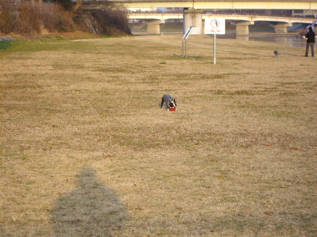 e0098547_3521911.jpg