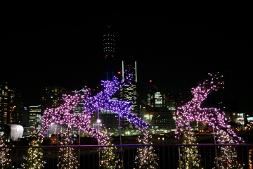 f0179947_038178.jpg