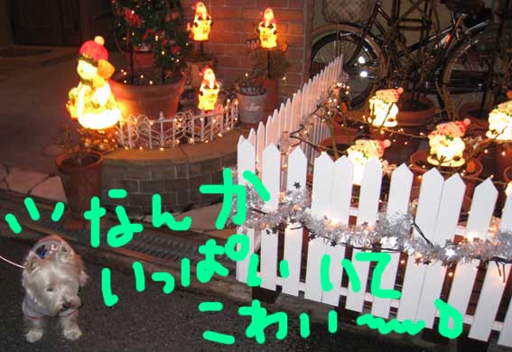 d0134156_11134530.jpg