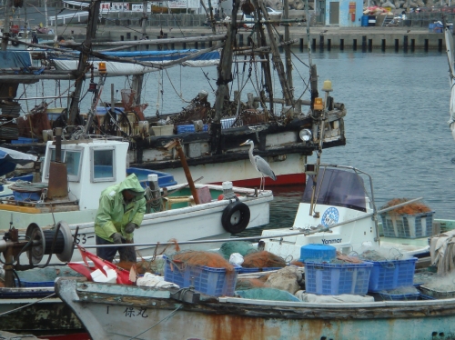 c0108460_16432551.jpg