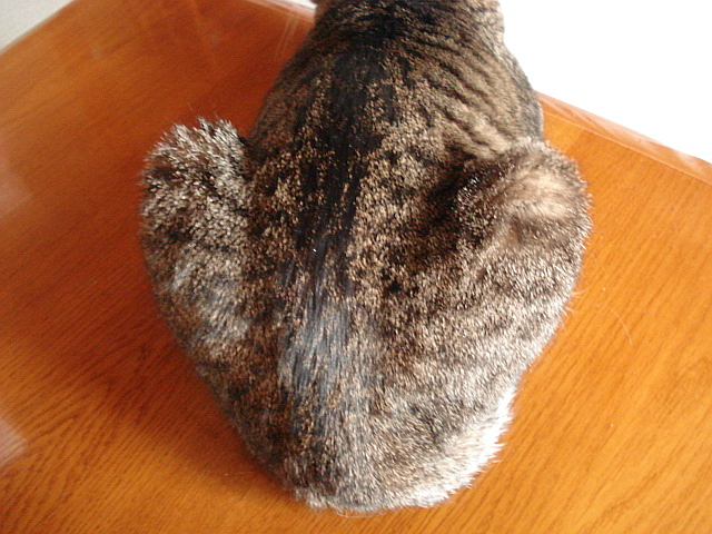 f0132565_1027502.jpg