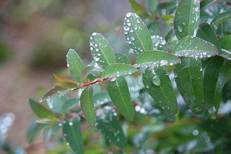 c0104371_1020585.jpg
