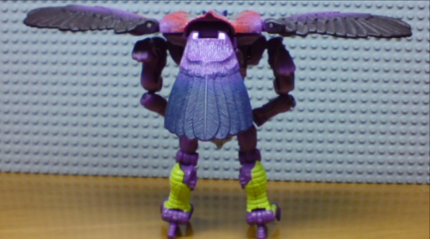 d0124271_1442729.jpg