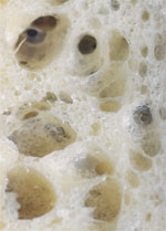 f0191477_8131730.jpg