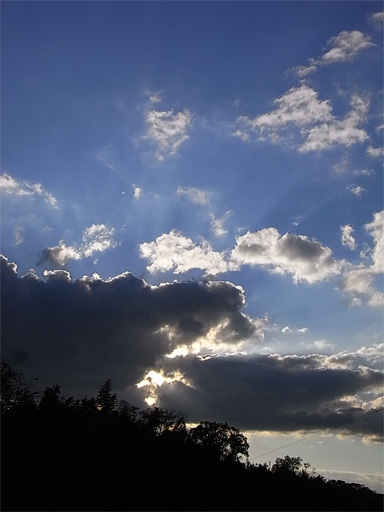f0089079_6282353.jpg