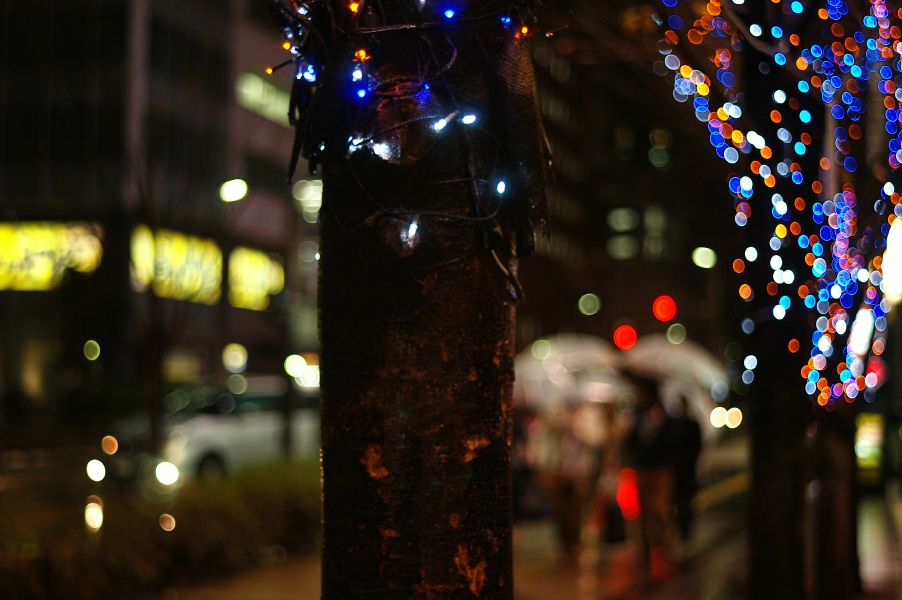 b0160184_23413563.jpg