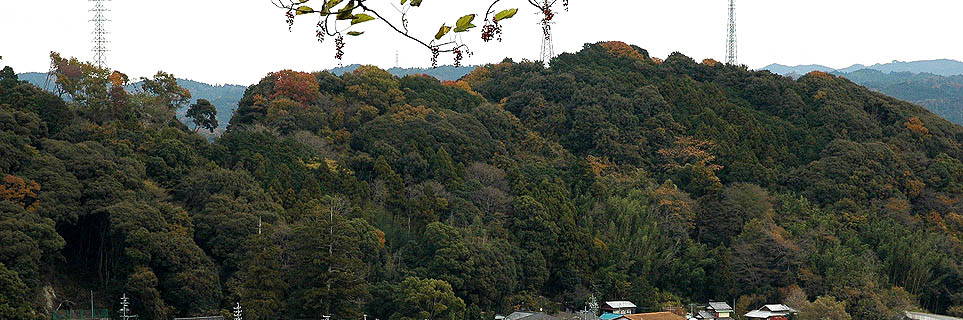 c0170789_13401567.jpg
