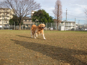c0096393_180810.jpg
