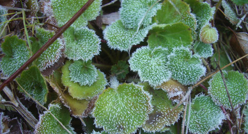 b0099994_10281052.jpg