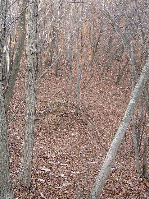 b0050305_1941924.jpg