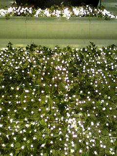 f0151905_0425564.jpg