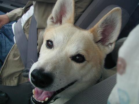 c0182706_11361720.jpg