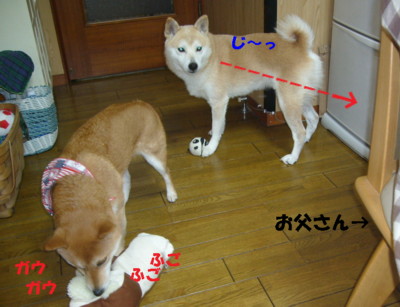 e0131506_22461795.jpg