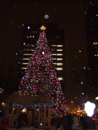 f0102814_1393274.jpg