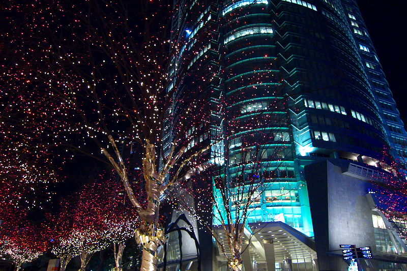 c0153616_21505643.jpg