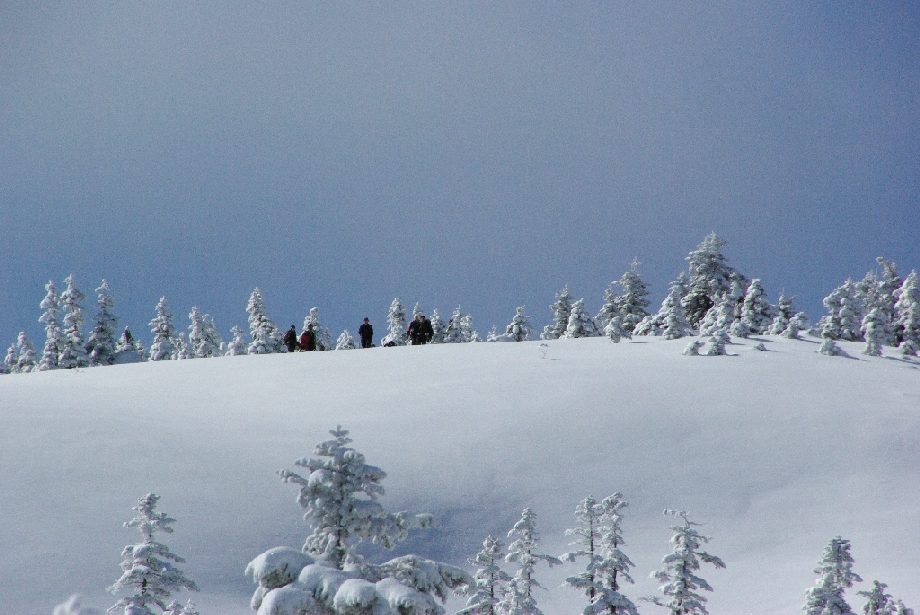 b0062024_22292785.jpg