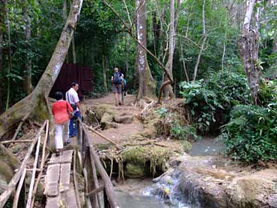 f0147025_1648340.jpg